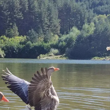 в204 Belvedere Club Apartament *