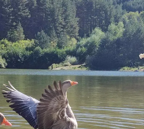 в204 Belvedere Club Apartment *